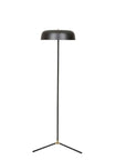 Hay canopy floor lamp